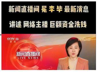 央视新闻爆料王冕视频下载,真相与争议并存